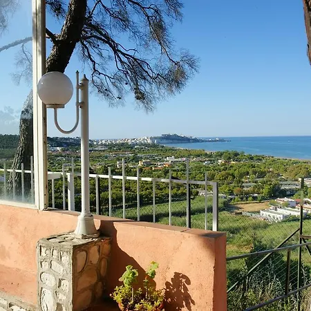 Regine Club * Vieste